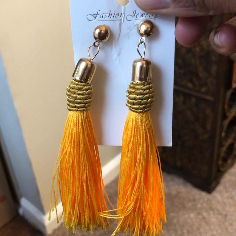 Beautiful Fringe Earrings